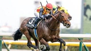 【オールカマー見どころ】衰え知らずのドゥラドーレス