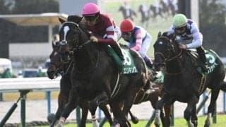 【神戸新聞杯想定騎手】エリキングは川田将雅騎手、ショウヘイは坂井瑠星騎手