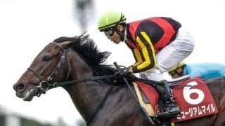 【セントライト記念】売上は73億4946万1200円で昨年より約3.3億円減少