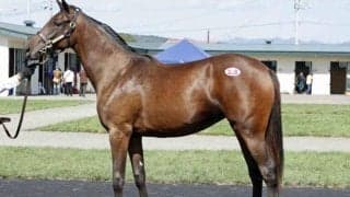 静内農業高校生産「アツコの2024」は320万円で落札/セプテンバーセール