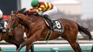 【先週のJRA抹消馬】今年の東風S2着馬ジョウショーホープ、芝・ダートの短距離戦で活躍したワンダーキサラなど