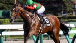 【神戸新聞杯】武豊騎手が15年ぶり4勝目なるか 「ゆかりの良血」アルマデオロで参戦