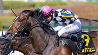 【AI予想・神戸新聞杯】春の実績馬に良績が集中する菊花賞トライアル！ 人工知能は前走ダービー組だけでなく意外な馬にも高評価