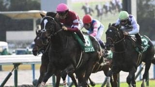 【神戸新聞杯予想オッズ】エリキングが予想1番人気