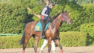 祖母はマイルCS覇者ブルーメンブラット サンラザールが日曜中山で初陣迎える/関東馬メイクデビュー情報