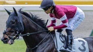 【神戸新聞杯】「ウマ娘」藤田晋オーナーのエリキング 秋初戦で復活なるか