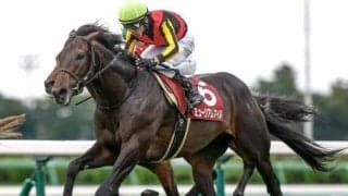 セントライト記念＆ローズSを血統で振り返る 秋始動戦制したクラシックホースの配合とは