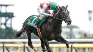 【阪神JS予想オッズ】ジューンベロシティが予想1番人気