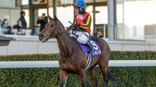 【オールカマー予想オッズ】レガレイラが予想1番人気