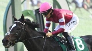 【神戸新聞杯展望】ダービー組が中心、差し馬エリキングに期待