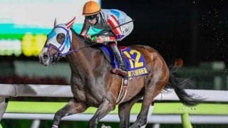 ジャパンダートクラシックの開催近づく 有力馬の父には人気種牡馬ずらり