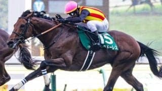 前走GIIIがオールカマーのトレンド!? 今年の該当馬のなかで注目馬は？