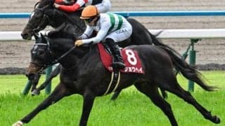 父仔制覇だらけの神戸新聞杯 今年の該当馬のなかで注目馬は？