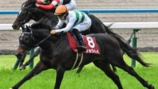 【神戸新聞杯】史上12頭目の「新聞杯W制覇」なるか ショウヘイが重賞2勝目狙う