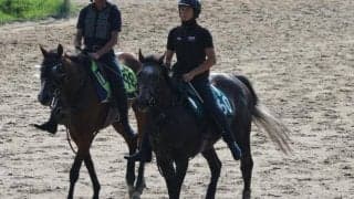 テルヴィセクスなど、先週のゲート試験/栗東トレセンニュース