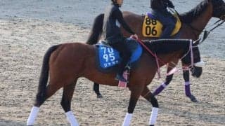 シャマルなど、先週の入厩情報/栗東トレセンニュース