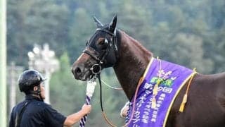 【シリウスS想定】カズタンジャーやブライアンセンスなど19頭