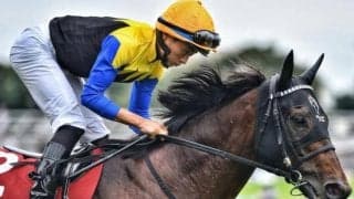 【オールカマー】15年ぶりの7歳馬Vなるか 古豪ヨーホーレイクが重賞4勝目狙う