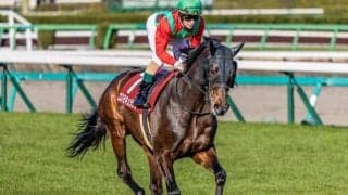 【オールカマー】中山巧者のコスモキュランダ 復活の重賞2勝目なるか