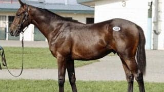 2025セプテンバーセールの3日目 最高価格は「サトノオニキスの2024」で2100万円