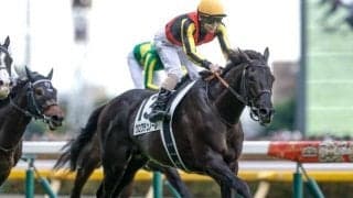 凱旋門賞の前哨戦で日本調教馬が「3勝」 今年こそ悲願成就なるか