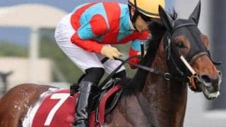 【神戸新聞杯】フランケル産駒が4年ぶりのJRA重賞制覇なるか デルアヴァーが強敵撃破狙う