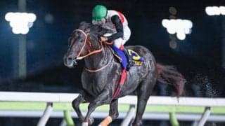 【大井・東京記念結果】マルカンラニが5馬身差の圧勝！人馬共に重賞初制覇