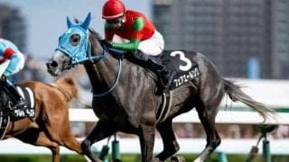 【オールカマー予想】実績や近走成績を素直に評価 AIは枠次第で面白い存在になりそうな伏兵を指名