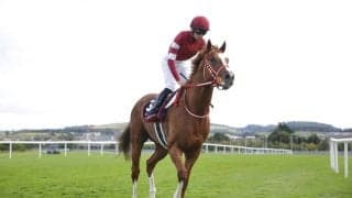 シンエンペラー、凱旋門賞回避を発表