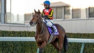 【オールカマー展望】データが後押しする4歳牝馬レガレイラが秋初戦を飾る