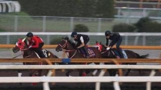 フォーエバーヤング、日本テレビ盃追い切り速報/栗東トレセンニュース