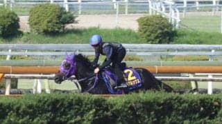 ペアポルックス、スプリンターズS1週前追い切り速報/栗東トレセンニュース