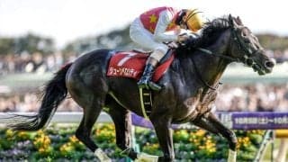 【阪神JS出走馬・騎手確定】ジューンベロシティ＆高田潤騎手、ネビーイーム＆小牧加矢太騎手など9頭