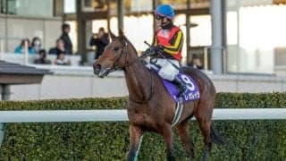 【オールカマー出走馬・騎手確定】レガレイラ＆戸崎圭太騎手、ドゥラドーレス＆C.ルメール騎手など11頭