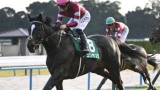 【神戸新聞杯出走馬・騎手確定】エリキング＆川田将雅騎手、ショウヘイ＆坂井瑠星騎手など10頭