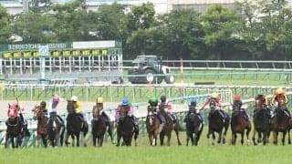 馬主は高須クリニックの高須克彌氏 タカスタカスタカスがデビュー勝ち狙う