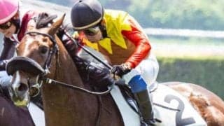 叔父2頭が2着＆3着の神戸新聞杯 伏兵ジョイボーイが菊切符獲得なるか