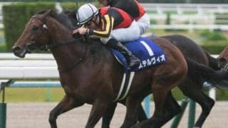 半兄はマイルCS覇者のステルヴィオ カルロットが武豊騎手で初陣Vなるか