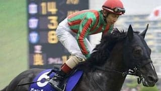 北出成人厩舎の初の1億円馬 コスモフィレンツェがデビュー勝ちなるか