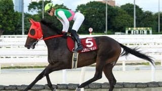 【園田プリンセスC】山本咲希到騎手が会心エスコート！ココキュンキュンが世代牝馬戦線をリード