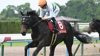【神戸新聞杯枠順確定】ショウヘイは5枠5番、エリキングは8枠10番