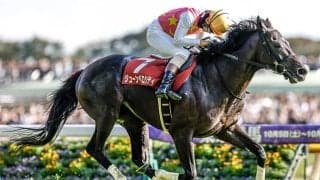 【阪神JS枠順確定】ジューンベロシティは5枠5番、ネビーイームは6枠6番