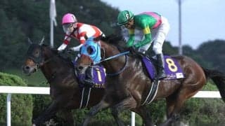 昨年のJBCスプリント覇者タガノビューティーが登録抹消 今後は種牡馬入りの予定