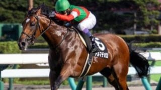 今週の武豊騎手は11鞍 アルマデオロで神戸新聞杯の15年ぶり4勝目なるか