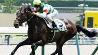 【野路菊S】母は名牝シンハライト アランカールが無傷の2連勝なるか