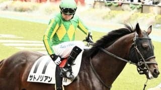 母は名牝ホエールキャプチャ サトノリアンが半年ぶりの復帰戦だ