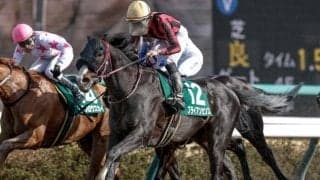 【シリウスS想定馬・騎手】ブライアンセンス、ジンセイなど17頭