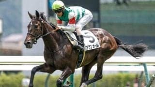 【今日の注目ポイント】阪神JS＆野路菊Sでアランカールが連勝狙う