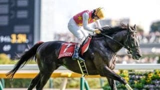 【阪神JS予想】3140mの距離に12の障害 重賞5勝を記録するジューンベロシティに期待