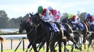 昨年の2歳女王アルマヴェローチェに左前浅屈腱炎が判明 9カ月以上の休養要す見込み